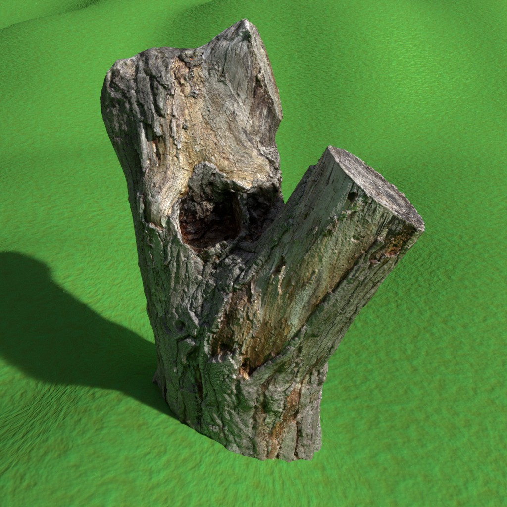 tree stump (photoscanned) preview image 1